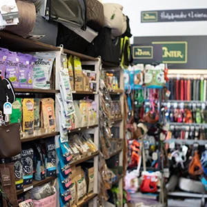 Man Delivering Parcels